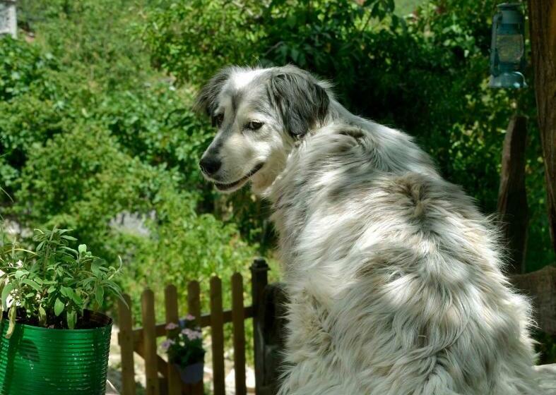 Отель Agriturismo Slowcanda