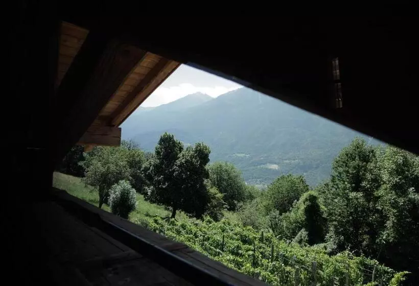 La Casa Di Paglia B&b