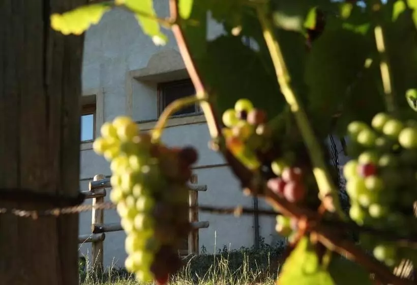 La Casa Di Paglia B&b