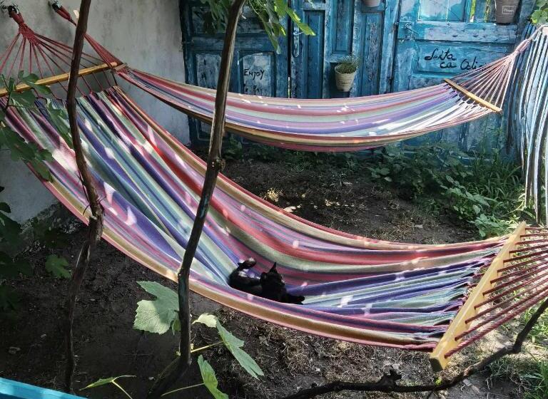 펜션 Delta Ca Odinioara