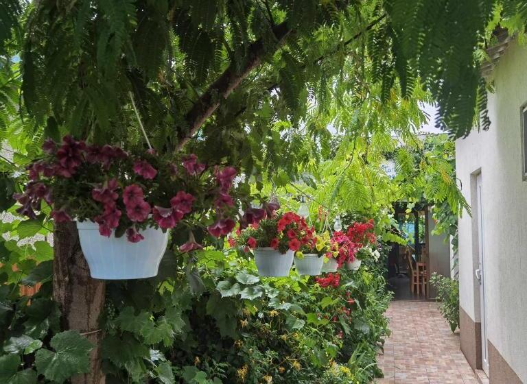 펜션 Delta Ca Odinioara