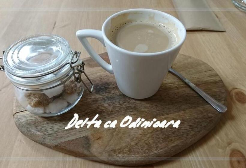 펜션 Delta Ca Odinioara