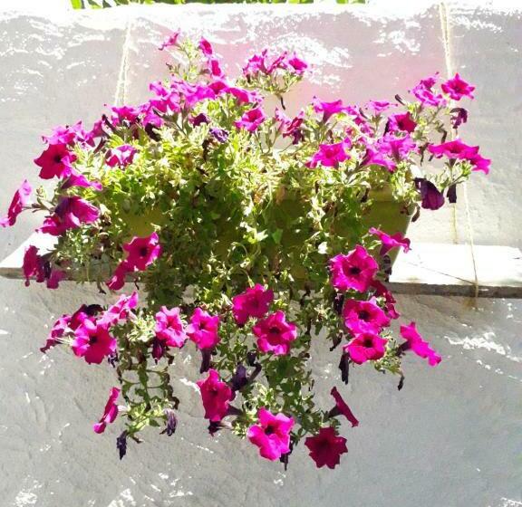 Bed and Breakfast I Limoni