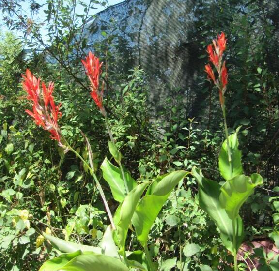 Bed and Breakfast I Limoni