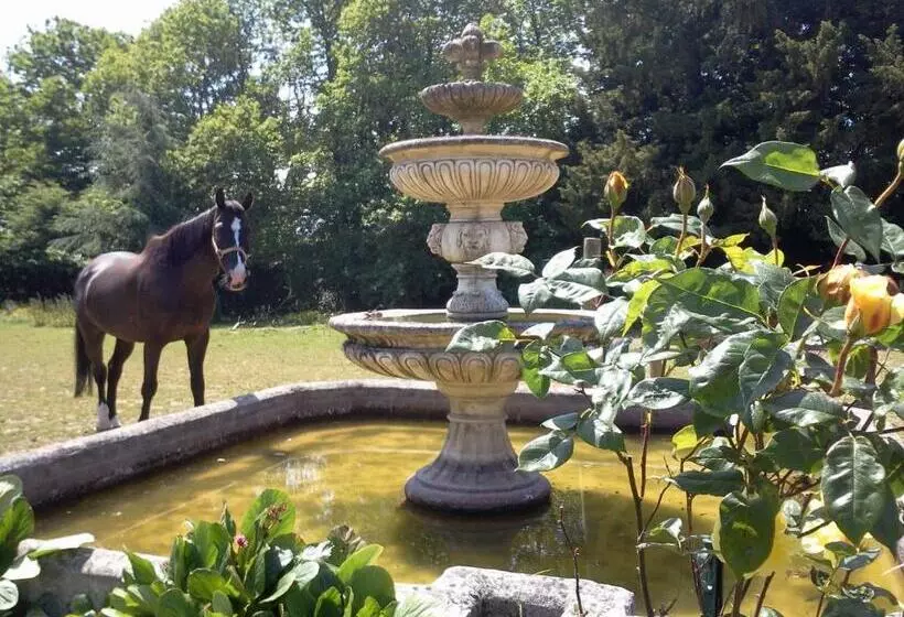 Aamiaismajoitus (B&B) Manoir De La Peignie