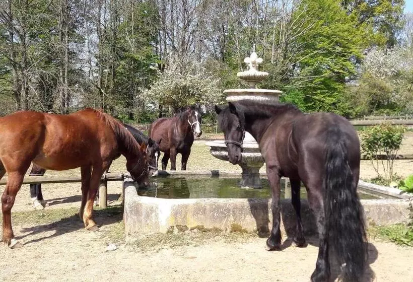 Aamiaismajoitus (B&B) Manoir De La Peignie