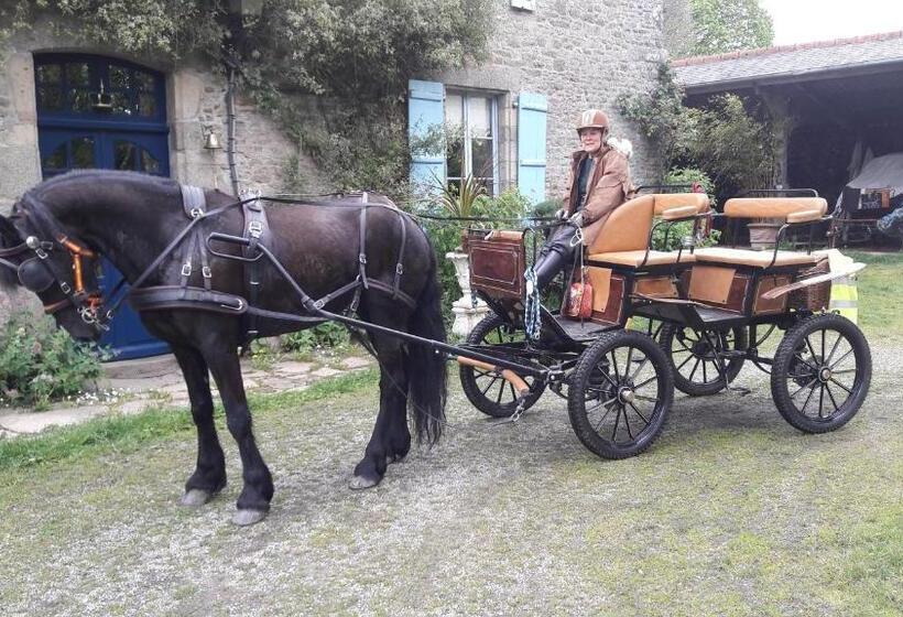 Bed and Breakfast Manoir De La Peignie