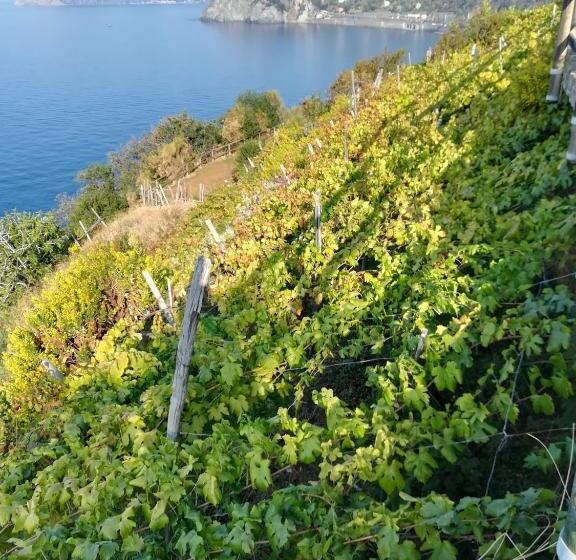 펜션 Ines Apartment