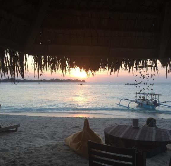 פנסיון Meno Classic