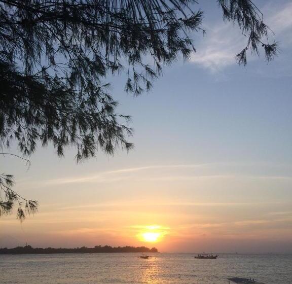 פנסיון Meno Classic