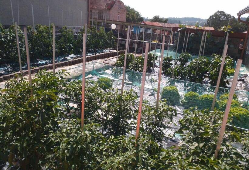 Pension Asun Sanxenxo