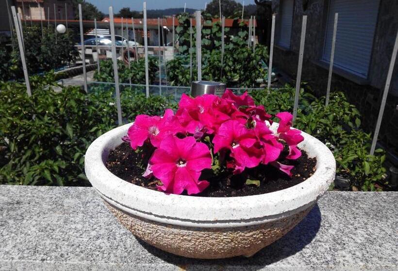 Pension Asun Sanxenxo