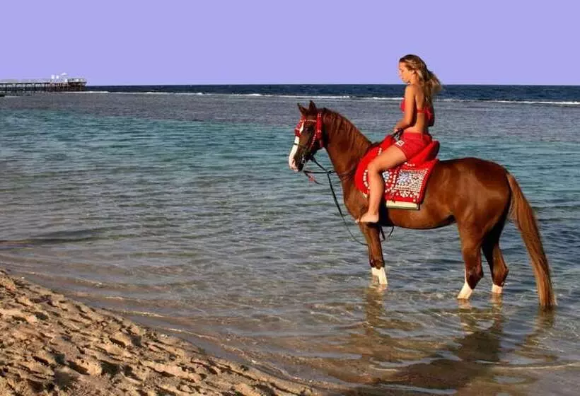 Akassia Swiss Resort