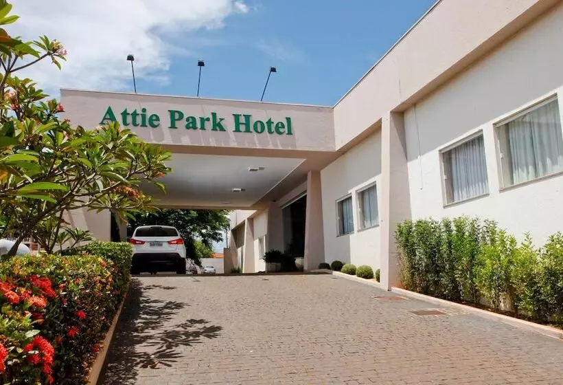 هتل Attiê Park