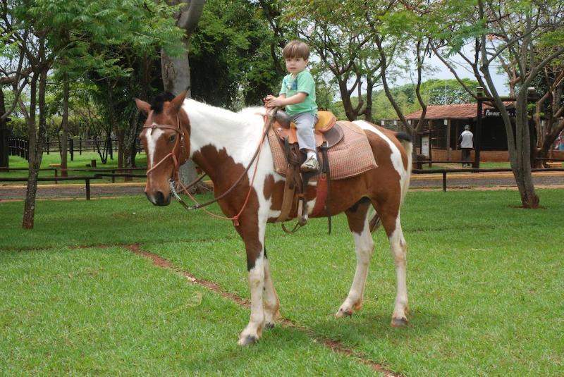 Отель Barretos Country Thermas Resort