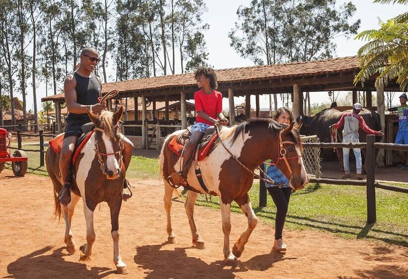 Отель Barretos Country Thermas Resort