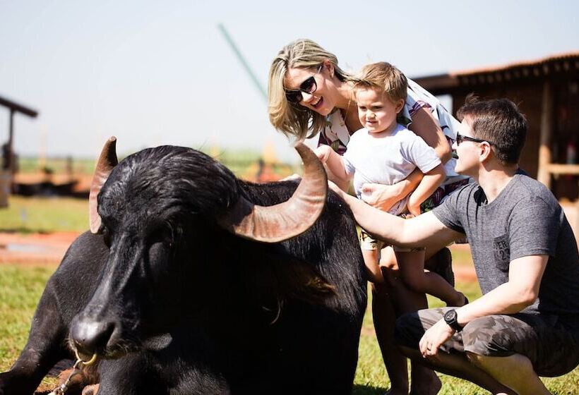 Отель Barretos Country Thermas Resort