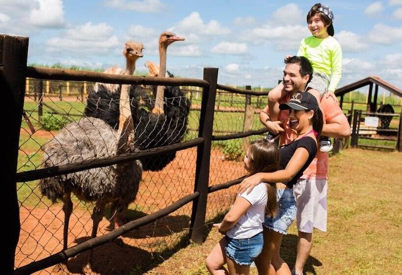 Отель Barretos Country Thermas Resort