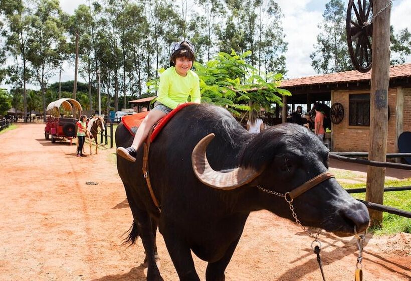 Отель Barretos Country Thermas Resort