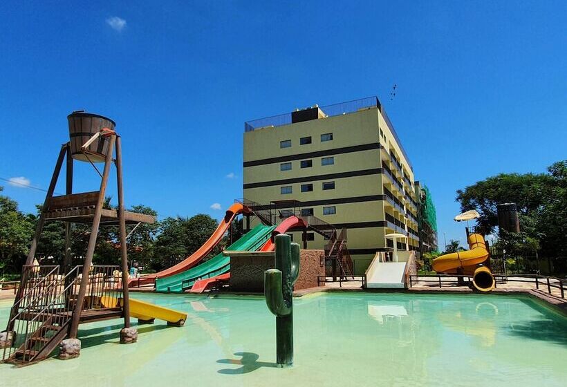 Отель Barretos Country Thermas Resort
