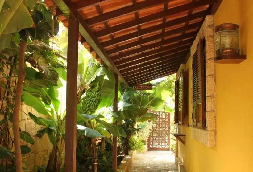 هتل Guest House Orquidea