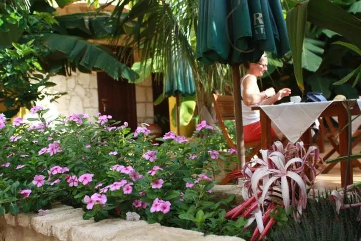 هتل Guest House Orquidea