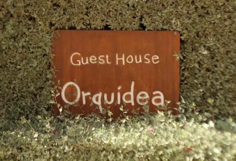 هتل Guest House Orquidea