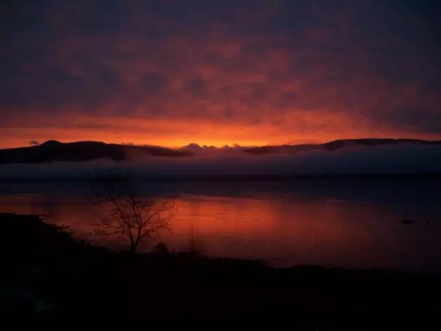 ベッドアンドブレックファースト Maggie S