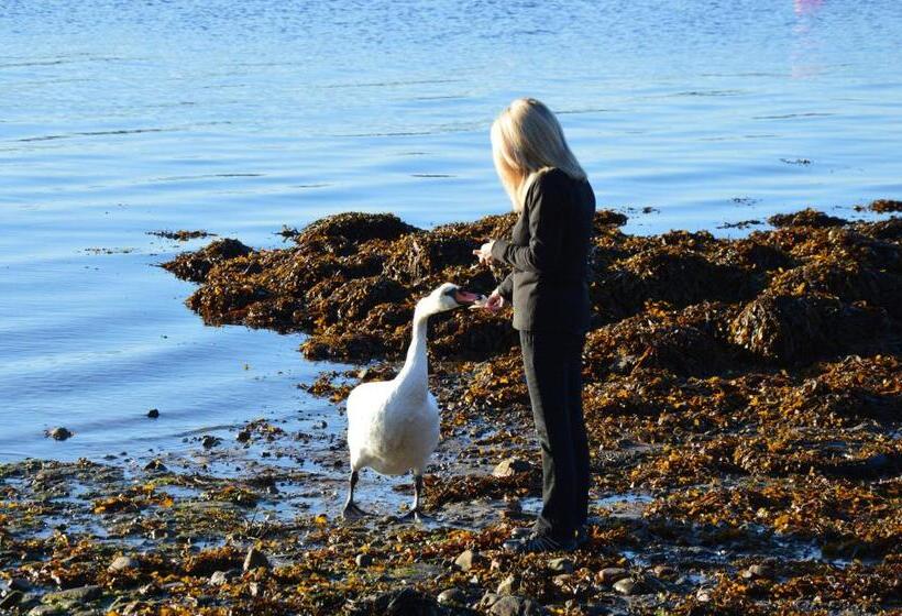 Bed and Breakfast Maggie S