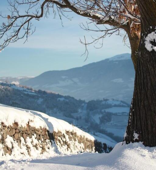 Отель Tschott Hof