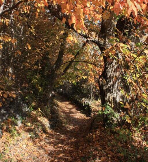 Отель Tschott Hof