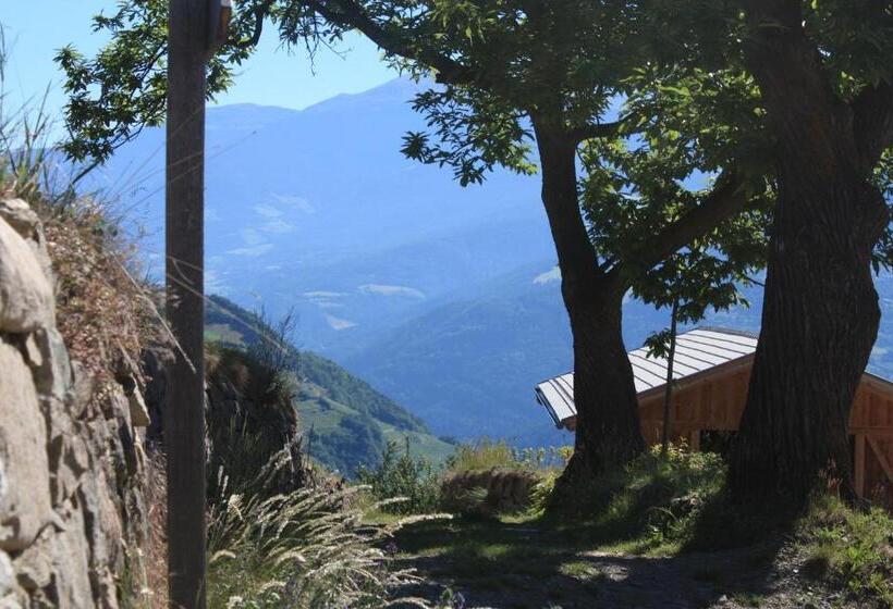 Отель Tschott Hof