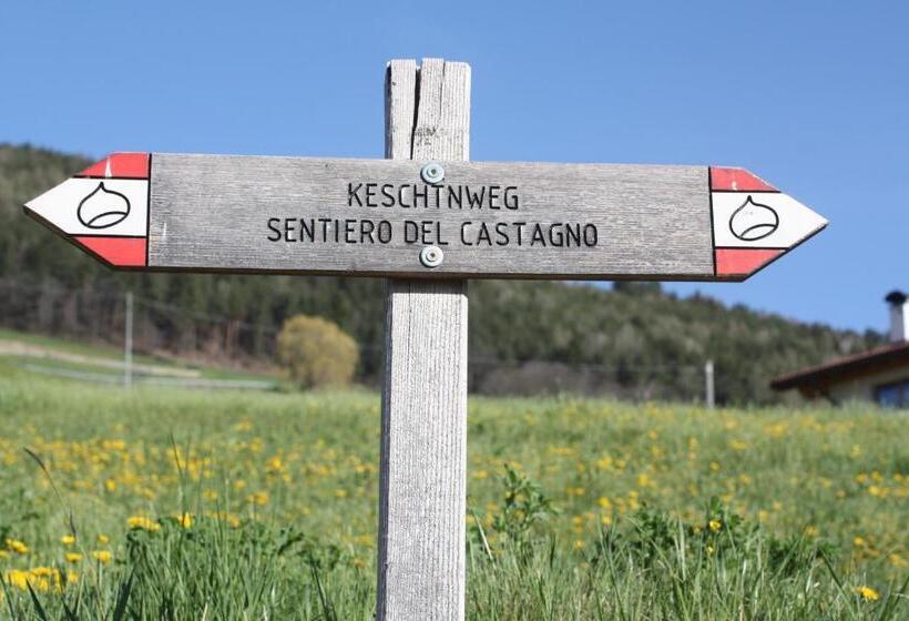 Отель Tschott Hof