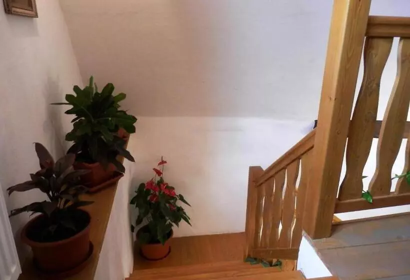 Majatalo Apartmány U Sv. Floriána