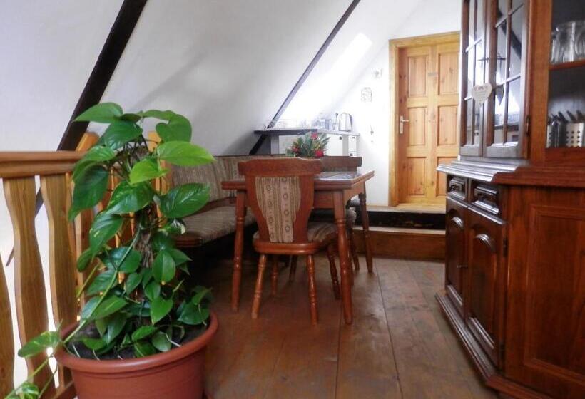 膳宿费 Apartmány U Sv. Floriána