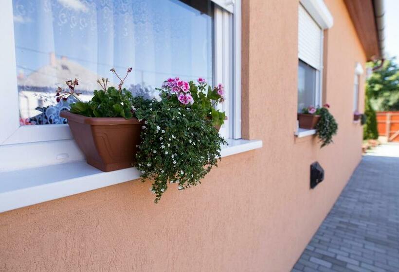 Пансион Boróka Vendégház Túrkeve