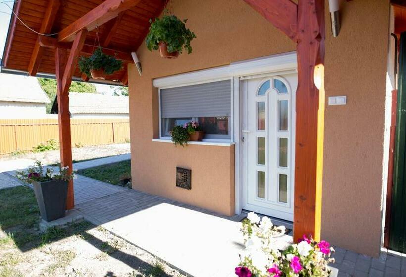 Пансион Boróka Vendégház Túrkeve