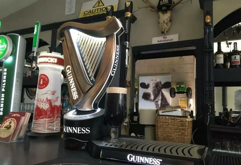 ペンション Grangegeeth Inn