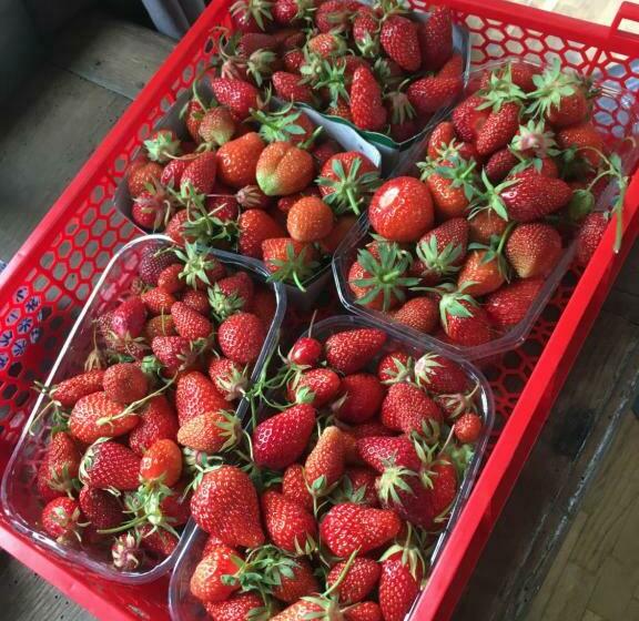 Пансион La Niche