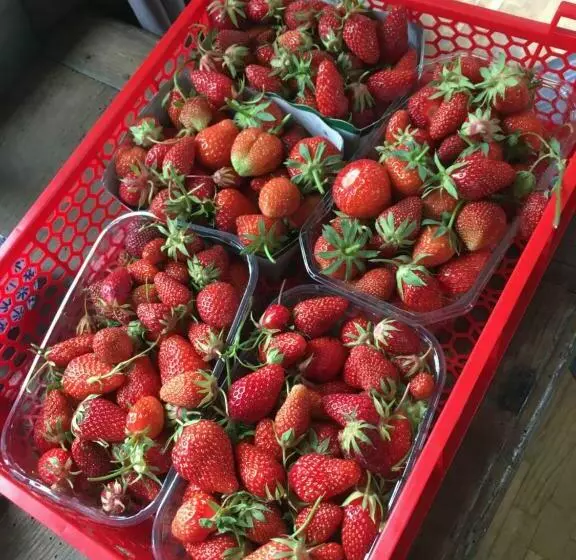 ペンション La Niche