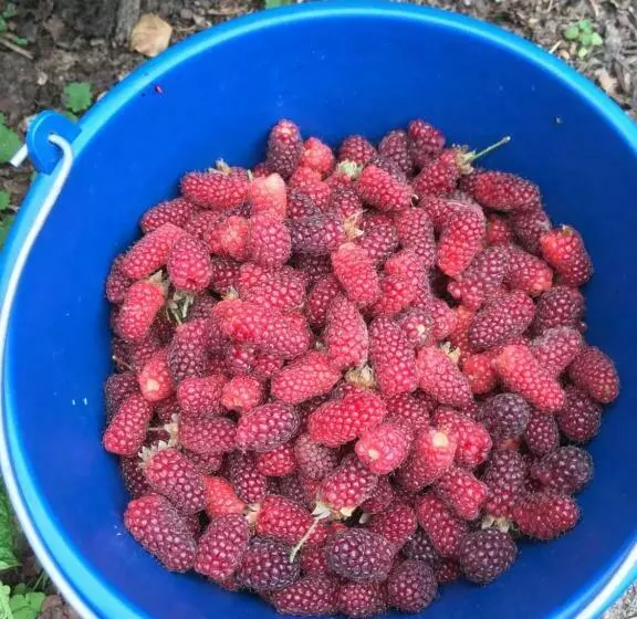 ペンション La Niche