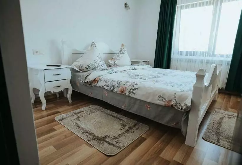 Pensiunea La Lenuta