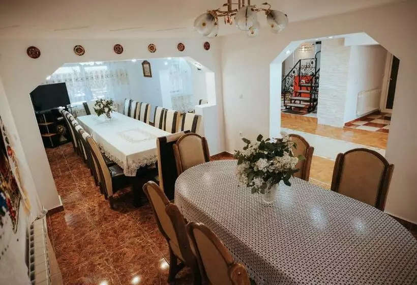 Pensiunea La Lenuta