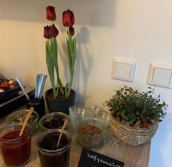 B&b Witvliet, Kamers En Studio Met Heerlijk Ontbijt !