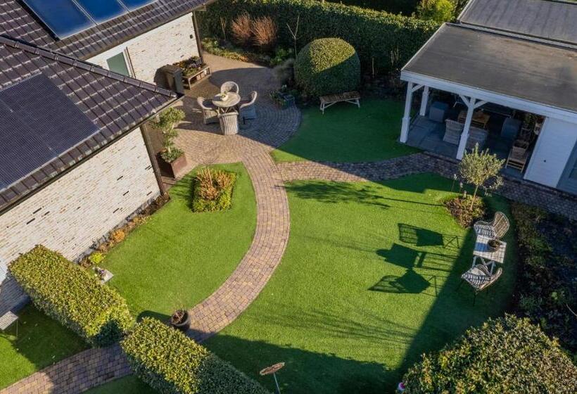 B&b Witvliet, Kamers En Studio Met Heerlijk Ontbijt !