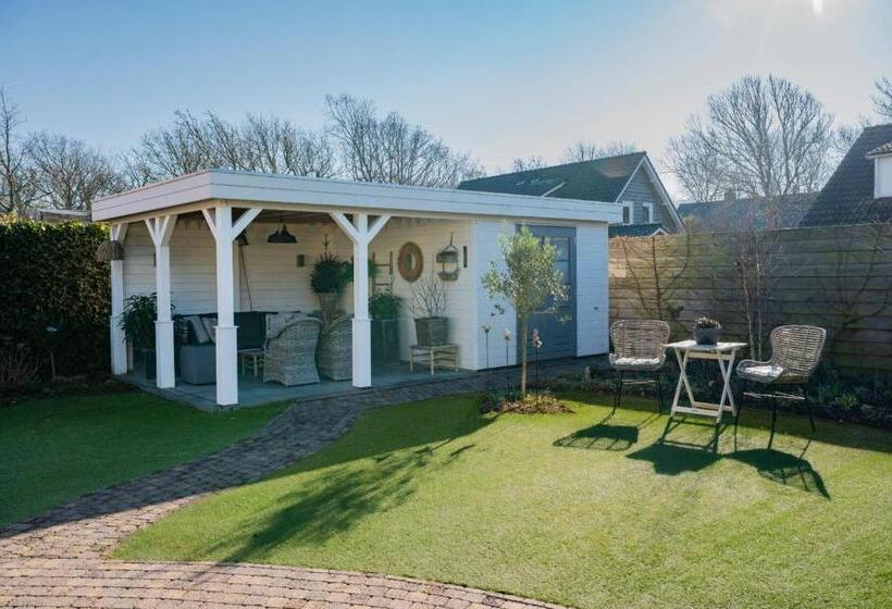 B&b Witvliet, Kamers En Studio Met Heerlijk Ontbijt !