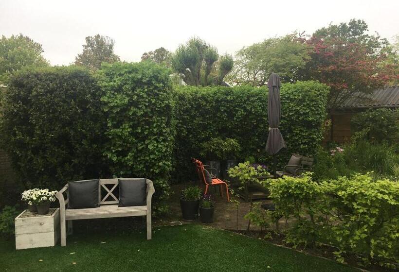 B&b Witvliet, Kamers En Studio Met Heerlijk Ontbijt !