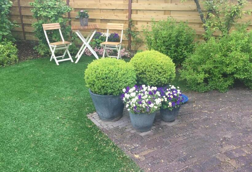 B&b Witvliet, Kamers En Studio Met Heerlijk Ontbijt !