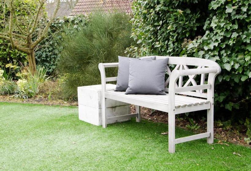 B&b Witvliet, Kamers En Studio Met Heerlijk Ontbijt !