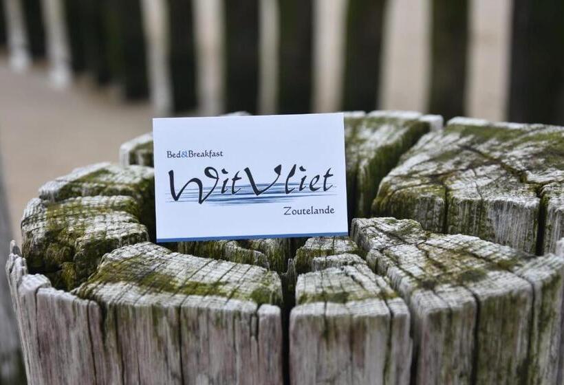 B&b Witvliet, Kamers En Studio Met Heerlijk Ontbijt !